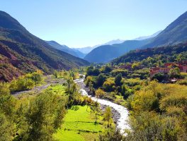 Day Trip to Atlas Mountains and 3 Valleys