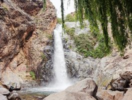 day trip Ourika valley & high atlas