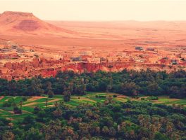 3 day Atlas & Desert Tour to Fes