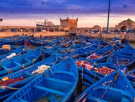 Essaouira Mogador Day Trip