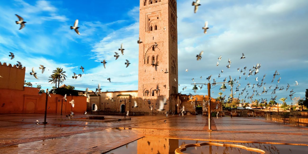 Guided full day trip to marrakesh