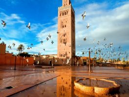 Guided full day trip to marrakesh